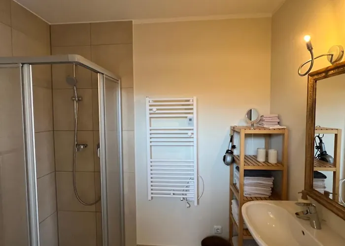 شقة Steinernes Inklusive Leogang Card