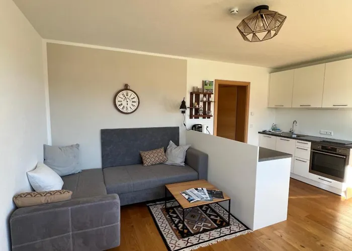 شقة Steinernes Inklusive Leogang Card سالفلدن ام ستينه